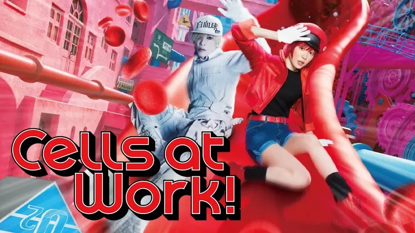 Cells at Work! (2024) Multi Audio English WEB-DL 1080P